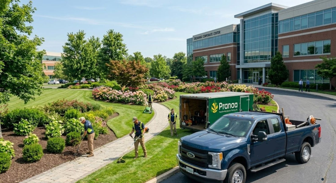 How to Choose the Right Commercial Landscaping Company