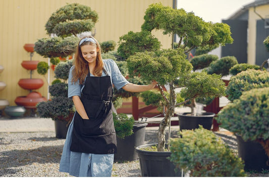 The Art of Bonsai: Care, Placement & Why It's a Luxury Investment