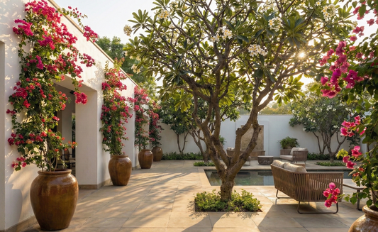 Low-Maintenance Landscaping in India: Beautiful Gardens With Minimal Effort