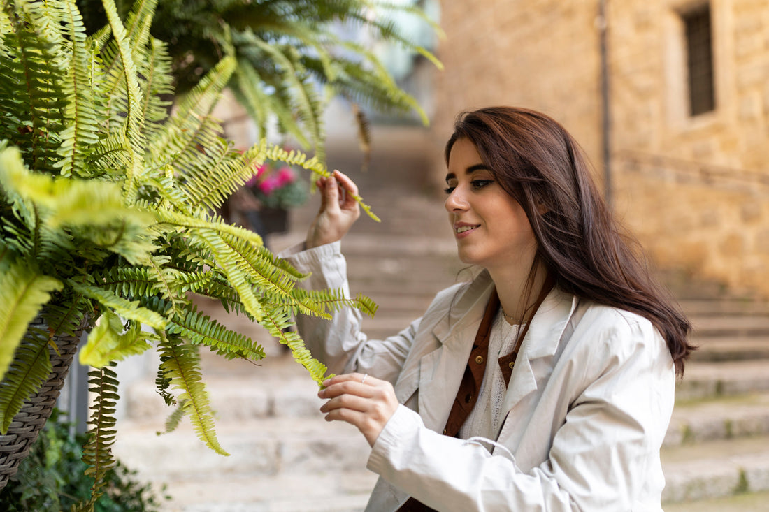 A Buyer's Guide to Exotic Plants: What "Acclimatized for India" Really Means