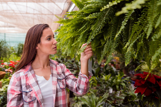 The "Micro-Climate": Choosing Plants for Mumbai's Humidity vs. Delhi's Heat