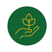 Effortless Experience