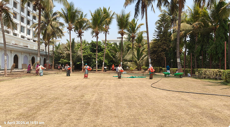 The design challenge